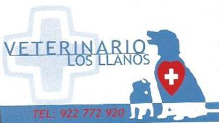 veterinario-los-llanos